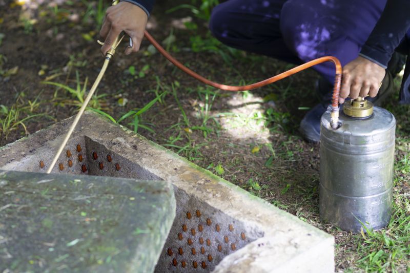 Fumigation Service in Bellingham, WA
