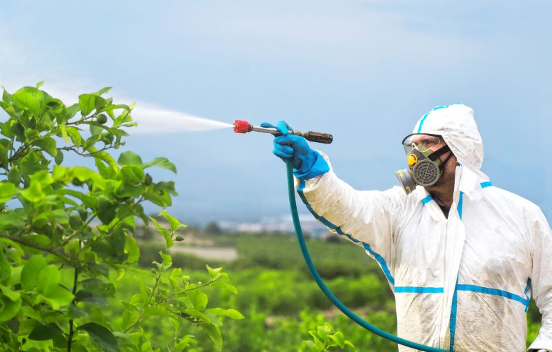 Rat Fumigation Service in Fredericksburg, VA