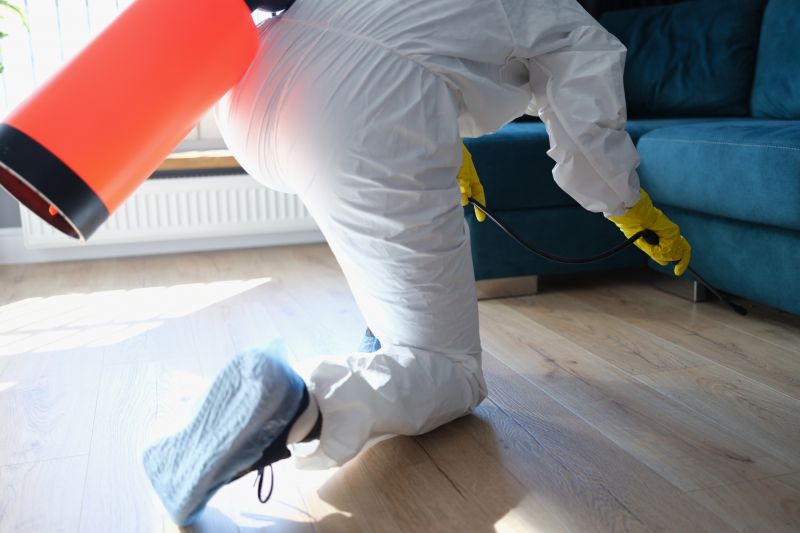 rodent abatement